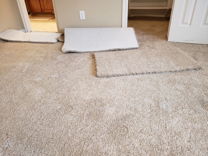 Carpet Smoothing in Littleton, CO