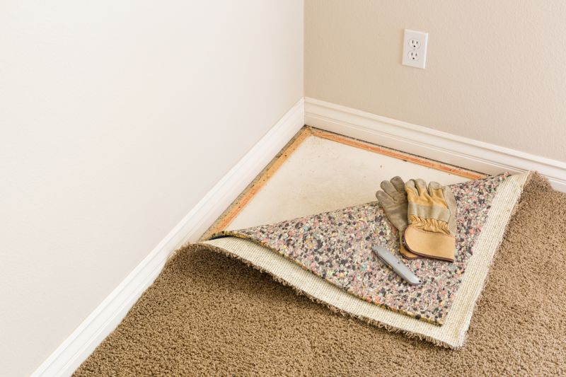 Carpet Tucking in Olathe, KS