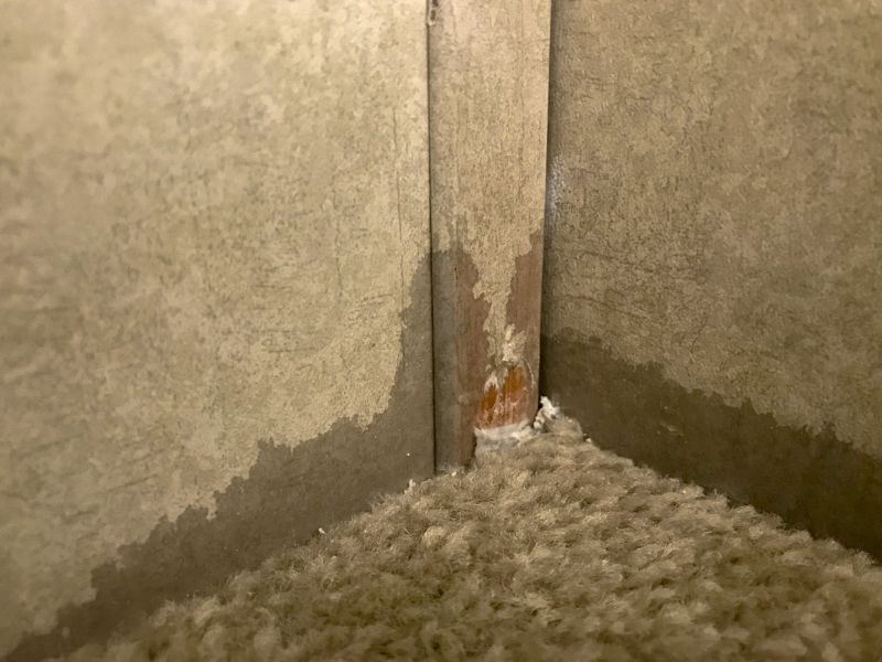 Commercial Carpet Repair in Kansas City, KS