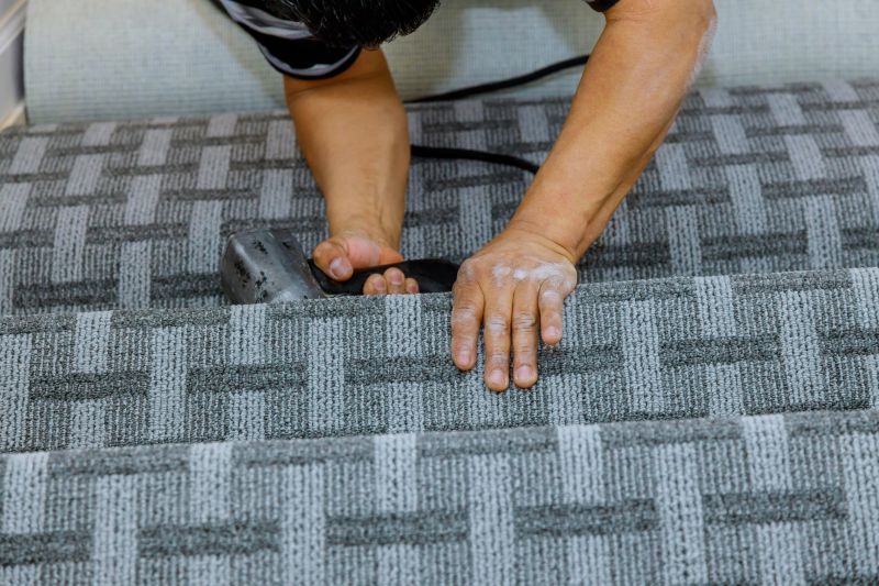 Pet Stain Carpet Repair in Kansas City, KS