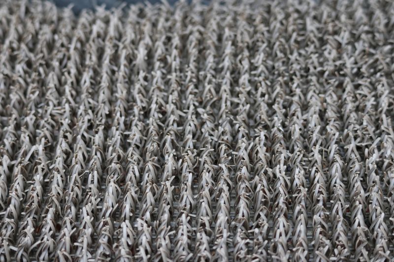 Residential Carpet Repair in Alpharetta, GA