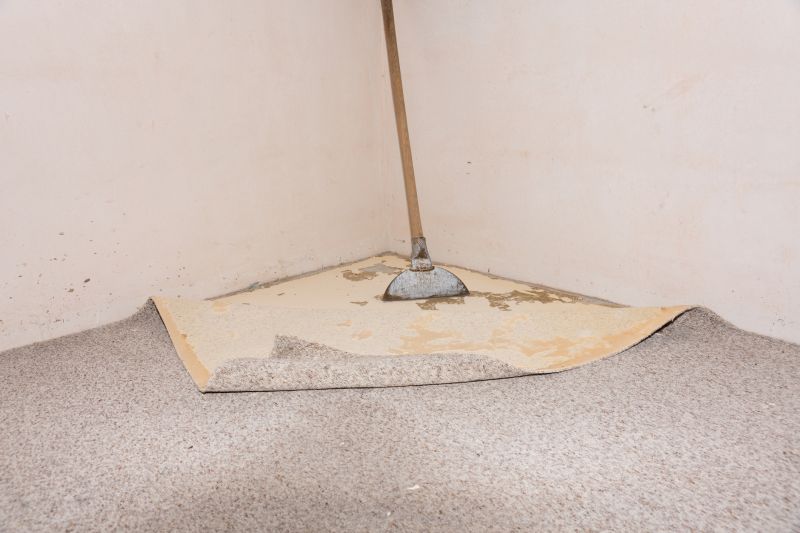 Stair Carpet Repair in Olathe, KS